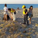 Spiagge e fondali puliti 2019