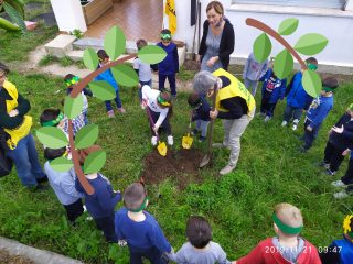 Festa dell’albero 2019